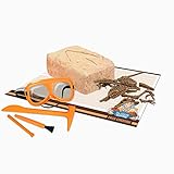 Paleo Expedition - Dino Excavation Kit - Velociraptor