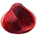 1 Pack Of Deep Red Henna Hair & Beard Color/Dye 100 Grams - Natural Hair Color, Plant-based Hair Dye - The Henna Guys