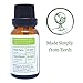 Citronella Essential Oil (Ceylon) by Simply Earth - 15 ml, 100% Pure Therapeutic Grade