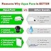 Clear Reusable Small Drinking Water Bottle Plastic - BPA Free, LeakProof, 420ml Refillable Clean Kid Flat Memo Slim Thin Flask - Best For Sports, Travel, School Lunch Box Bag with Wide Mouth Funnel
