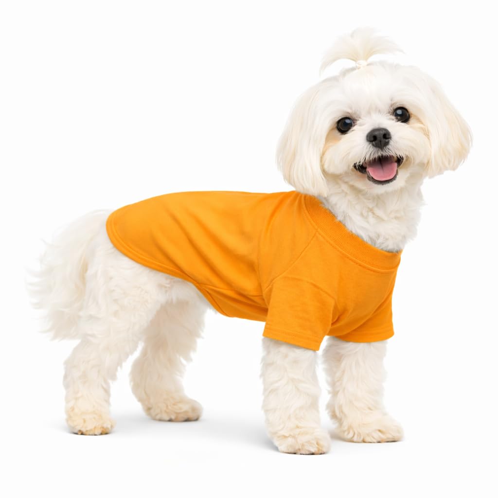 Lovelonglong Pet Clothing Dog Costumes Basic Blank T-Shirt Tee Shirts for Small Dogs Orange M