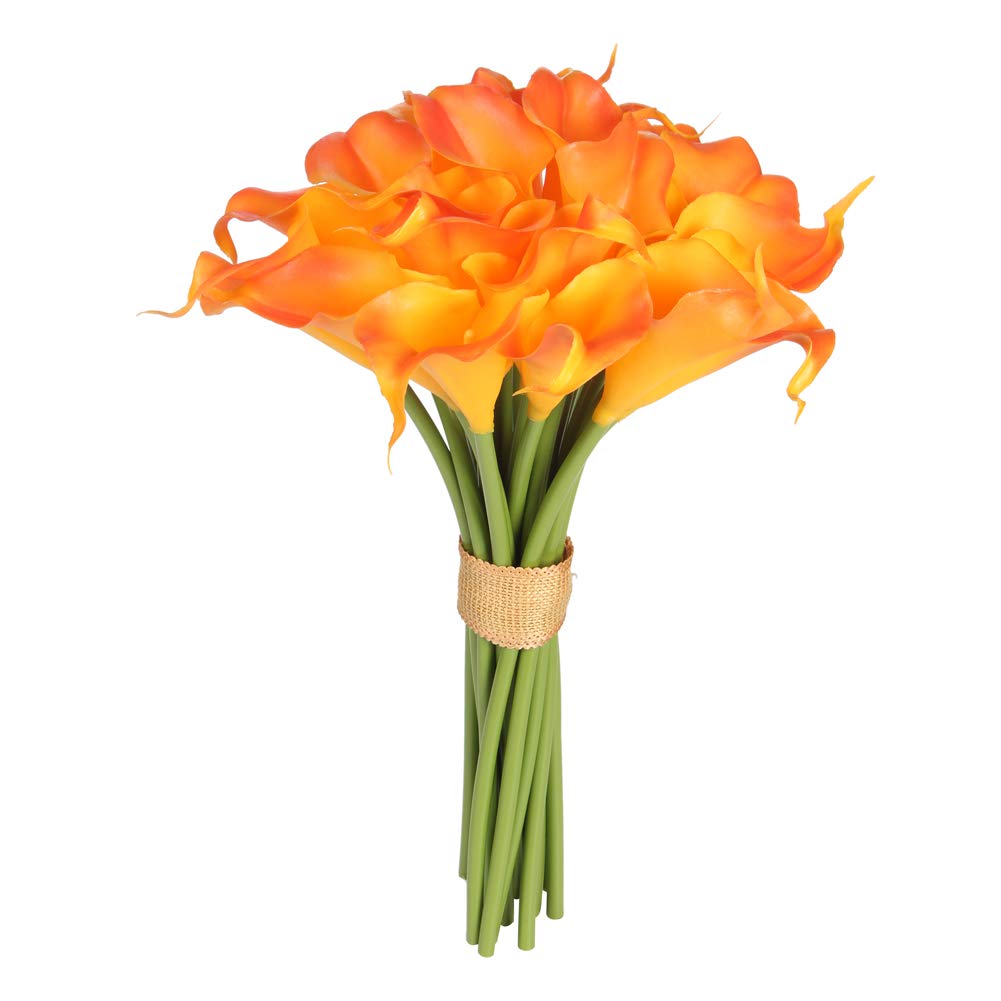 Best Lilly Home Decor