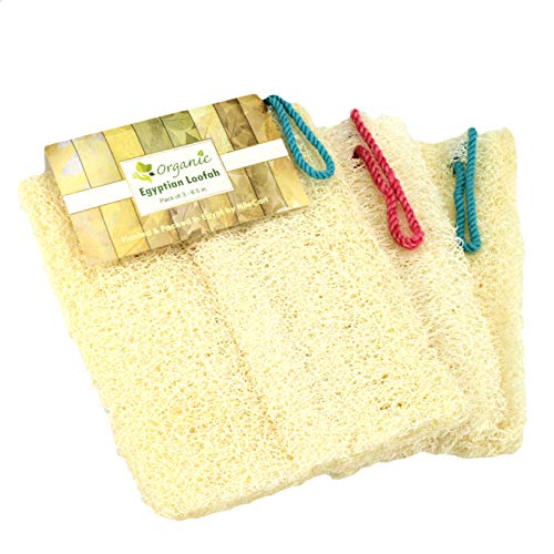 NileCart Natural Organic Egyptian Loofah Sponges, Large Exfoliating Shower Loofah Body Scrubbers SPA Beauty Bath and radiant skin (Pack of 3-6.5 In.)