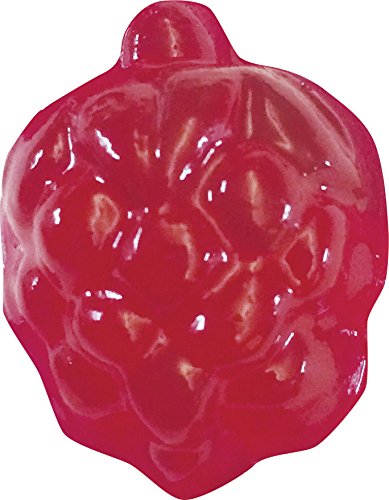 Thames & Kosmos Gummy Candy Lab Science Kit