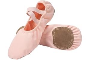 Linodes Dance Shoes for Girls Stretch Canvas Split Sole for Women