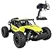 Fistone RC Car 2.4G High Speed Racing Cars 1:16 Iron Radio Control Monster Truck Rock Off-Road Vehicle Buggy Hobby Electronic Game Toys Model (Yellow)