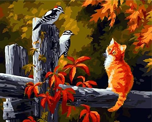 Dorara DIY Oil Painting Paint By Number Hand Paintworks 16×20 Inches Cat and Birds