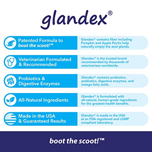 Glandex Anal Gland Support Kit Fiber Supplement for Dogs with Pumpkin, Digestive Enzymes