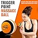 Invincible Fitness Foam Roller Set - Exercise, Yoga & Stretching, Workout Equipment - Physical Therapy Recovery, Deep Tissue Muscle Massage - Trigger Point Release, Includes 3 Resistance Loop Bands