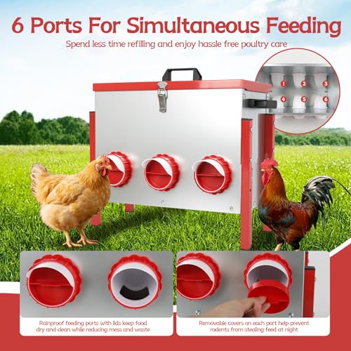 Automatic Chicken Feeder Large Capacity 15kg (33lbs) Rat Proof Chicken Feeder with 6 Feeding Holes for Duck/Geese Breeding Chicken Coop