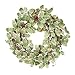 Skrantun 18 Inch Christmas Wreath for Front Door Winter Wreath Christmas Decorations