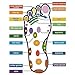 MindInSole Acupressure Magnetic Massage Foot Therapy Reflexology Pain Relief Shoe Insoles Washable and Cutable - (1 Pair) (Women)