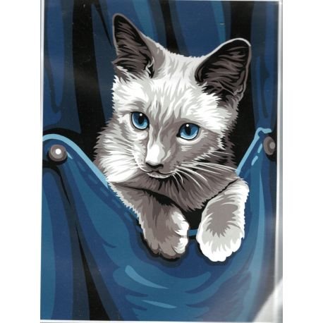 Tapisserie Kits Distrifil Kit Canevas Joli Chaton Dans La Poche 22 X 33 Cm Napravi Rs