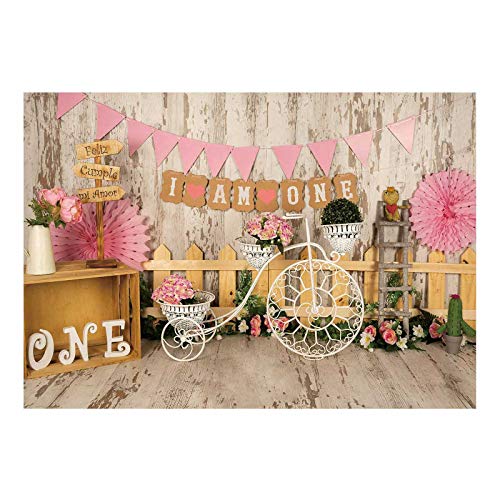 Funnytree 7x5ft 1st Birthday Cake Smash Photography Backdrop Baby Girl