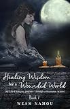 Healing Wisdom for a Wounded World: My Life-Changing Journey Through a Shamanic School (Book 1) by Weam Namou