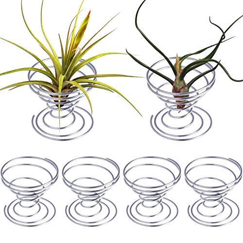 6 Pack Air Plant Stand Airplant Container Tillandsia Holder Stainless Steel Plant Display Racks for House Plants Home Decor