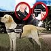 Ecoastal Dog Body Harness Padded Extra Chest Straps Heavy Duty with Handle Comfortable for Labrador, Golden Retriever Large Dogs