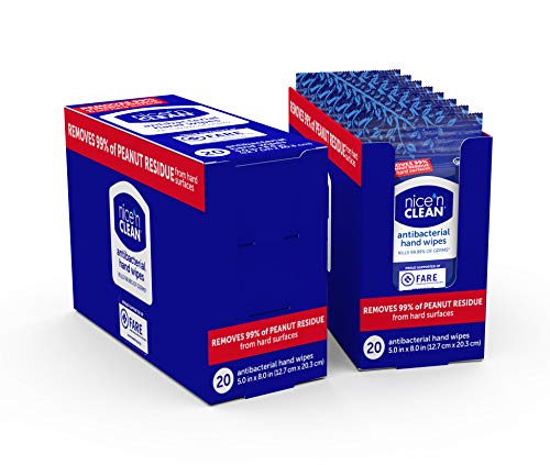 Nice 'n CLEAN Anti-Bacterial Hand Wipes, 20 Count (Pack of 6)