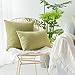 Kevin Textile Solid Velvet Decoration Toss Throw Pillow Case Cushion Cover Comfortable Soft Striped Decorative Pillowcase for Bed/Chair/Couch, 20