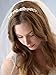 USABride Romantic Bridal Floral Headband with Simulated Pearls & Flowers 215