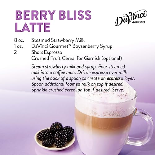 DAVINCI GOURMET BOYSENBERRY SYRUP, 25.4 FLUID OUNCES (PACK OF 1)