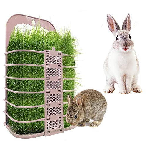 JWShang Hühnchen-Gemüsekorb, Gemüsekugelfrucht, Kaninchen-Heu-Futterautomat, Faltbarer hängender Haustier-Futterautomat… – Bild 4