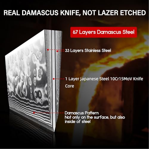 SHAN ZU Chef Knife 8 Inch Japanese Steel Damascus Kitchen Knife, Professional Kitchen Knives Sharp High Carbon Super Steel 67 Layers Kitchen Utility Knife with G10 Handle