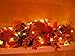 MIYA LIFE Cute Pumpkin String Lights Fall Pumpkin Fairy Lights Battery Operated for Thanksgiving and Halloween Indoor Decorations