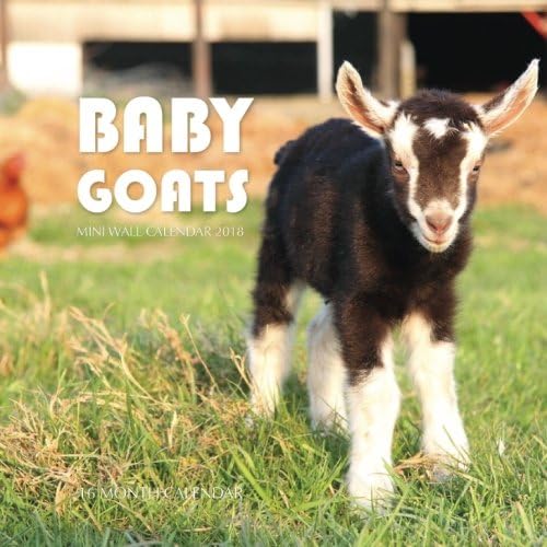 Baby Goats Mini Wall Calendar 2018: 16 Month Calendar