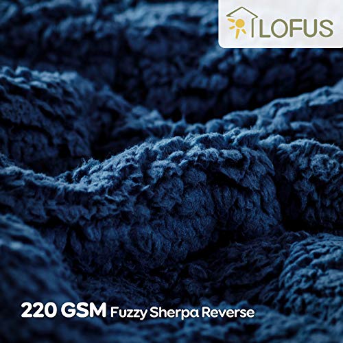 Lofus Sherpa Fleece Weighted Blanket 15 lbs Heavy Blanket with Soft
