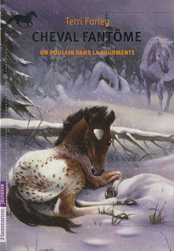 Un  poulain dans la tourmente