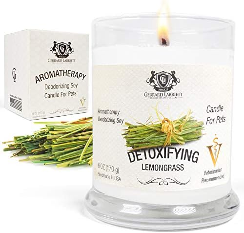 Aromatherapy Deodorizing Soy Candle For Pets Candles Scented Pet Odor Eliminator Animal Lover Gift 4325267560 Buy Online At Best Price In Uae Amazon Ae