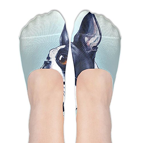 Jinyimingpi Low Cut Socks Boston Terriers Novelty Athletic Crew Funny No Show Ankle Boat Stockings With One Size