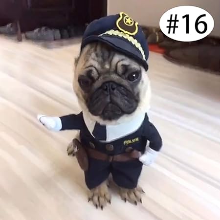 3clifewaren Deguisement Chat Chien Vêtements Décoratif Debout Chiens Halloween Noël Anniversaire Polyester Costume Chien Cowboy Infirmière Police