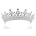 Tinksky Wedding Tiara Rhinestone Decorated Bride Tiara Hair Barrettes Hairband Hair Clip Hair Loop (Silver)