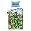 Edredón Individual Minecraft | Ropa De Cama Reversible Para Niños - Verde Y Creeper