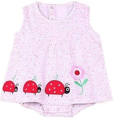 Amazon Co Jp 新しいです 女の赤ちゃん服 夏の赤ちゃんのプリンセスドレス0 3ヶ月の女の赤ちゃんの服 ピンクの服0 1歳の女 の赤ちゃんの花のスーツベビー服女の子ボディギフト写真の摩耗のために 洋式 Color Jiachong Kid Size 12m ホーム キッチン