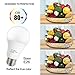 LAKES Dimmable A19 LED Bulb，E26 base13W (100W Equivalent), Medium Screw Base, 1200 Lumens, 270° Beam Angle, 5000K Daylight White, 6-PACK