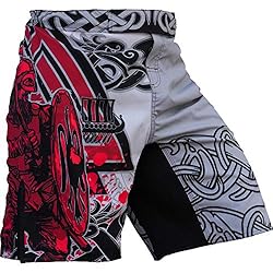 Hardcore Training Viking 2.0 Fight Shorts Men's