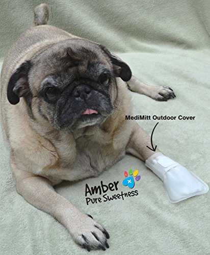 Pawflex Waterproof Paw MediMitt Covers for Dogs, Pets. Outdoor use, slide over MediMitt Bandage (sold separately) (Pack of 4)