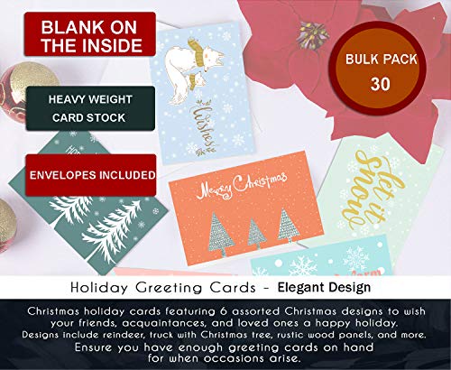 Elegant Christmas Happy Holiday Greeting Cards Bulk Boxed Set of 30, 6 Assorted Winter in Snow Festive Color Design Blank On the Inside, Envelopes and Sealing Stickers Included
