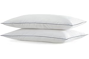 SILUI Flat Soft Thin Pillows Standard Size Set of 2 Pack Bed Pillow with Down Alternative Fill for Side Back Stomach Sleepers