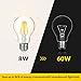 FluxSmart LED Filament Edison Light Bulb - Dimmable Warm White 8W - 60W Equivalent A19 E26/27 Base 2700K (8)