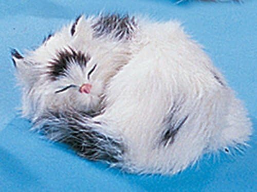 Cat Sleeping Collectible Figurine Kitten Statue Decoration Model New