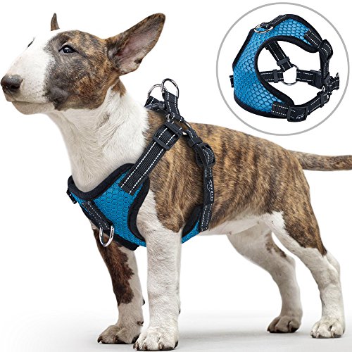 PETBABA Small Dog Harness, No Pull Vest with Front Clip Suitable Walk, Soft Air Mesh Adjustable Step-in Harness