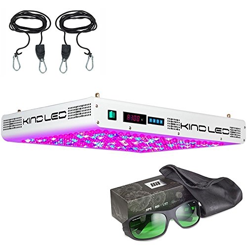 Kind K5 XL1000 LED Grow Light Review Is It Worth It? 101 Growlights