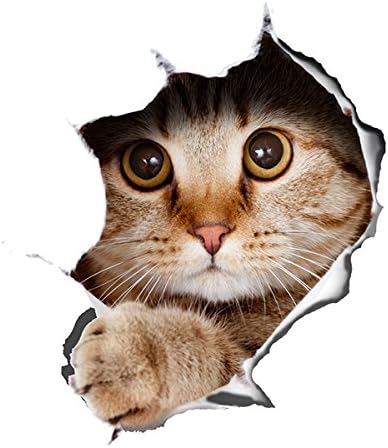 Ammybeddings Super Mignon Vivid 3d Sticker Mural Motif Petit