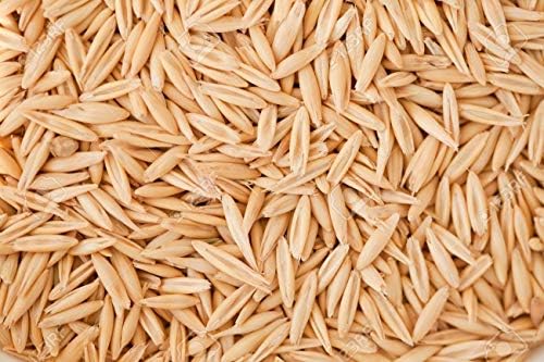 VEBFAA Pointed Oats For Birds, whole oats, long oats for bird food, 900 grams, VEBFAA - 108