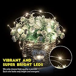 Fairy Lights Battery Operated String Lights - 12
