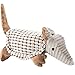 oneisall Durable Dog Squeaky Chew Toys Plush Puppy Toy Armadillo for Dog Cat